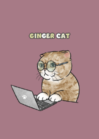 gingercat9 / dusty rose .jp