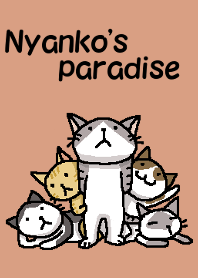 Nyanko's paradise !