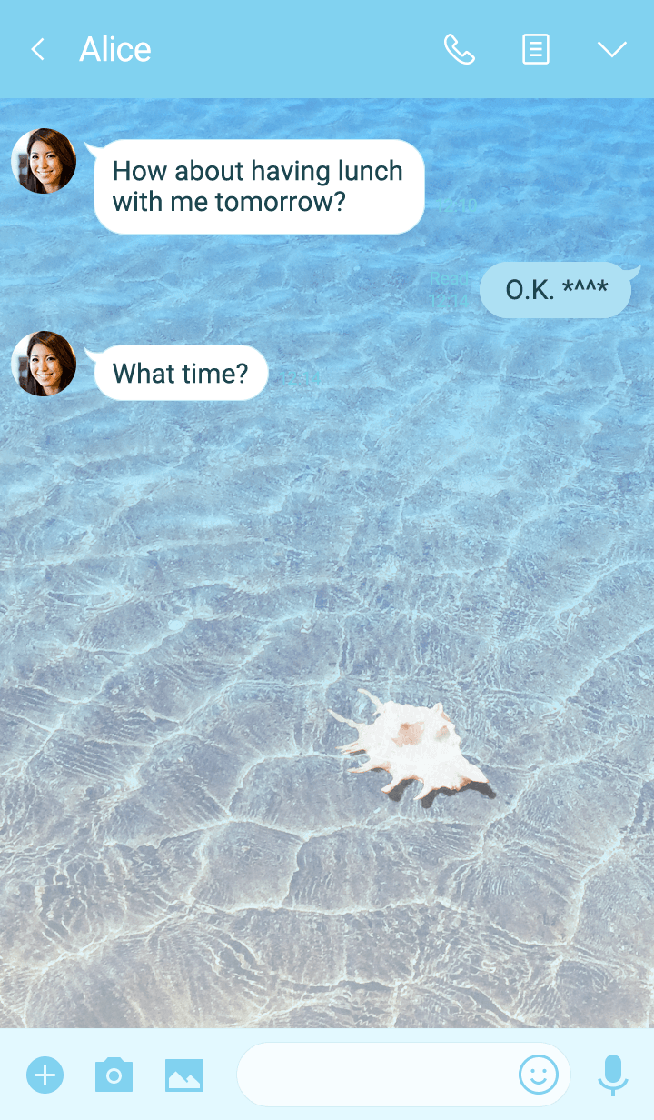 AmenityBeach TypeShell