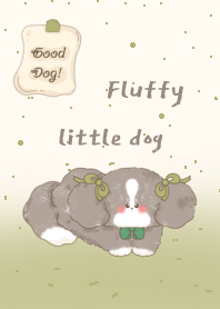 Fluffy little dogs2
