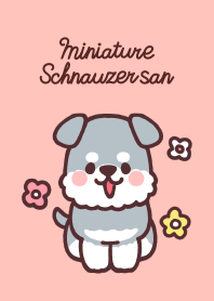 Miniature Schnauzer san