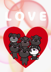 黒シュナウザー６レンジャー７