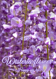 ++Wisteria flower++