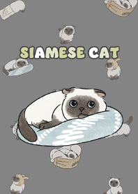 siamesecat7 / dark grey