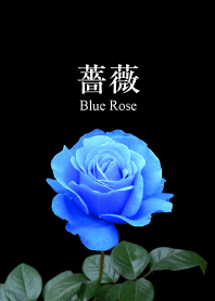 "Blue Rose 2"