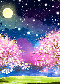 Beautiful night cherry blossoms#699