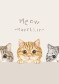 Meow - Munchkin - BEIGE/BROWN
