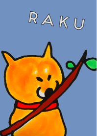 柴犬ラク
