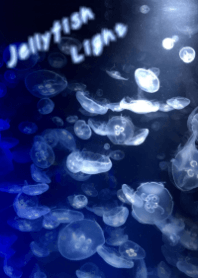 Jellyfish Light