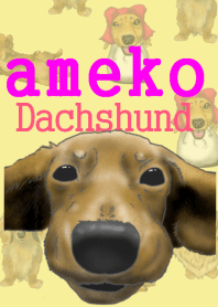 ダックスフンドあめ子
