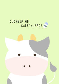 CLOSEUP OF CALF's FACEj-YELLOW GREEN