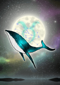 Moon, whale and taurus JPN