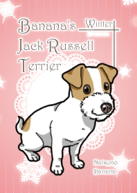 Banana's Jack Russell terrier Winter