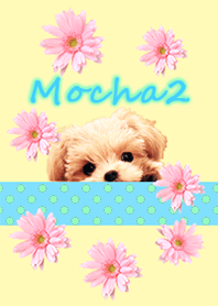 Mocha2