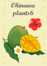 Okinawa plants6