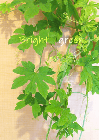 A refreshing and calm green.