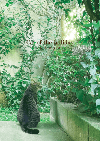 Cat of the holiday -GREEN-