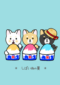 夏ですよ~!しばいぬの夏!