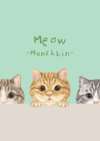 Meow - Munchkin - MINT GREEN