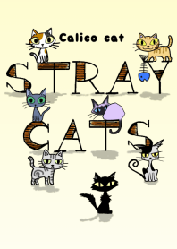 STRAY CATS -Calico cat-