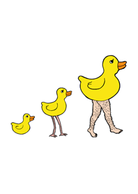evolution duck