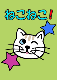 cat!cat!cat!