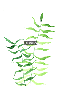 water color flowers_653