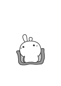 rabbit staring with section -01