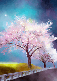 Beautiful night cherry blossoms#1491