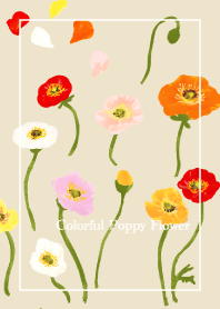=Colorful Poppy Flower=