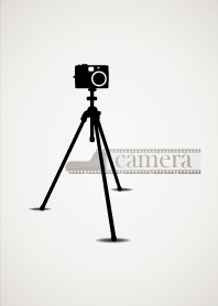 Simple Camera.