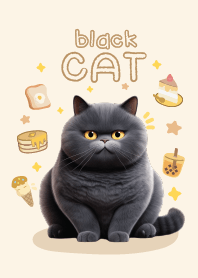 แมวดำตัวอ้วน!