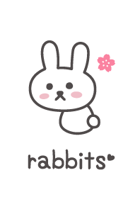 Rabbits*White*Cherry blossoms