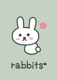 兔子*綠色*櫻花