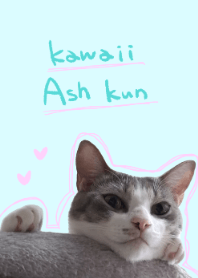 かわいいアッシュくん