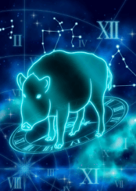 生肖猪-射手座-