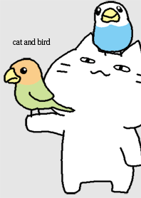 cat and bird Theme