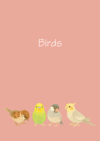 Birds2 on pink & blue