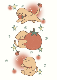 Golden tomato
