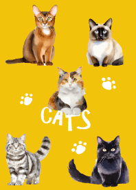 unique cats on yellow