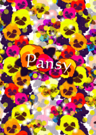 Pansy -Elegant yellow-