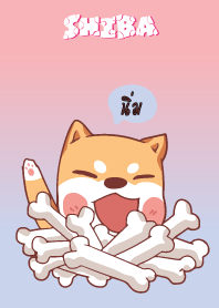 นิ่ม ใครไม่บะ ชิบะ 4 V11