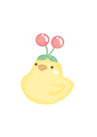 Baby Chick x Cherry