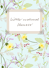 Little natural flowers 15