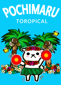 ポチ丸_トロピカル #pop