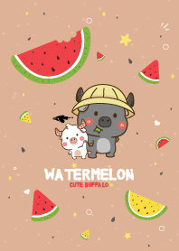 Buffalo Watermelon Lover