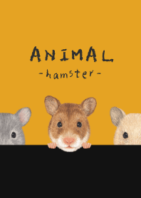 ANIMAL - Golden hamster - PUMPKIN