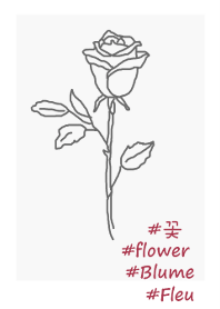 #flower** rose