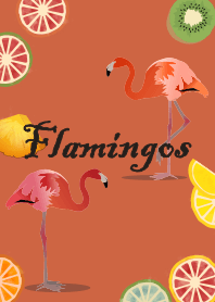 Flamingos + terracotta orange