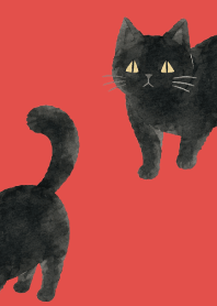 A unique cat06 red